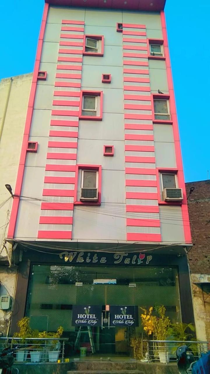 Hotel White Tulip Amritsar Exteriör bild